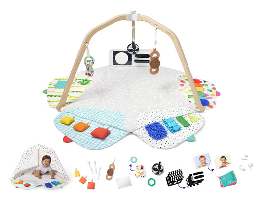 The Play Gym