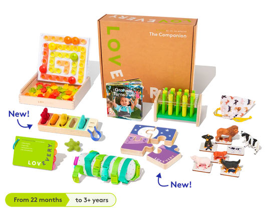 The Companion Play Kit
