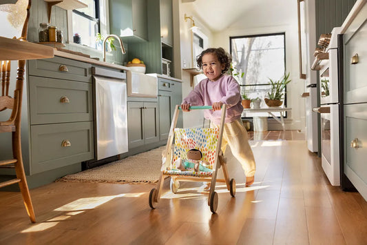The Buddy Stroller