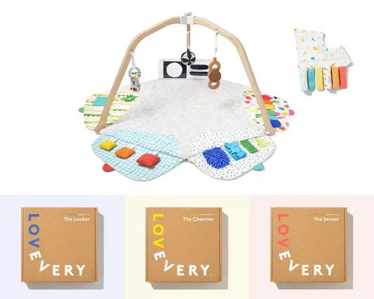 Baby’s First 6+ Months