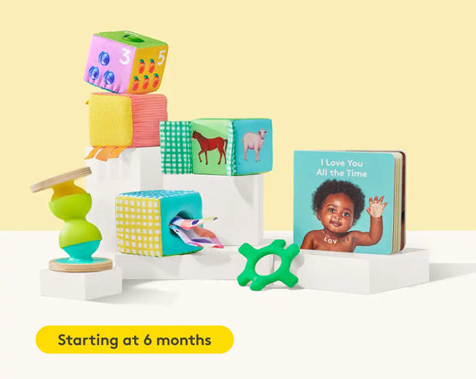Crawl to Me Mini Kit